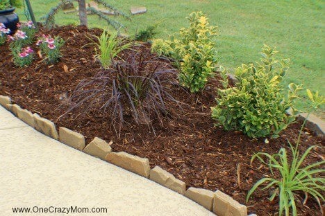 Use these money saving landscaping tips to save big on landscaping. 7 Money saving landscaping tips you will love. Learn how to save money on landscaping. Save thousands of dollars with these money saving tips for landscaping your yard!