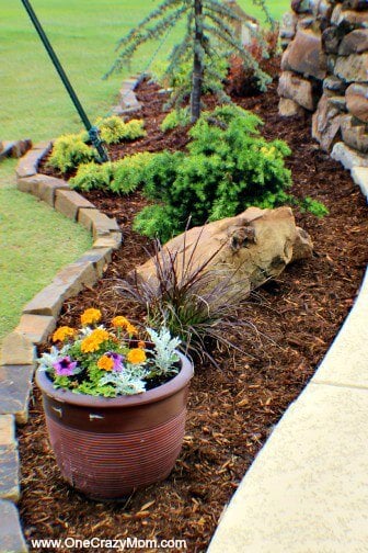Use these money saving landscaping tips to save big on landscaping. 7 Money saving landscaping tips you will love. Learn how to save money on landscaping. Save thousands of dollars with these money saving tips for landscaping your yard!
