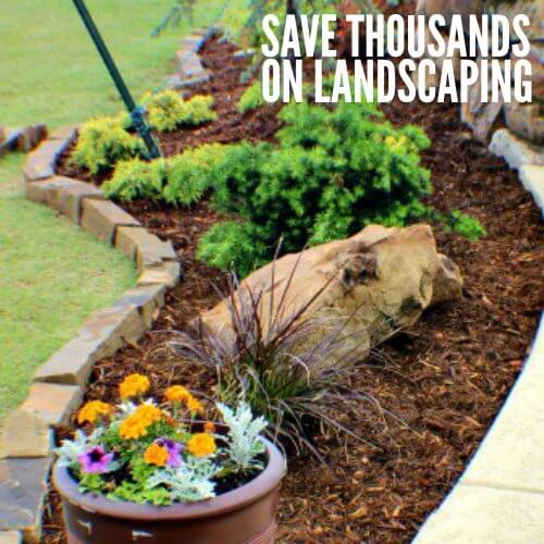 Use these money saving landscaping tips to save big on landscaping. 7 Money saving landscaping tips you will love. Learn how to save money on landscaping. Save thousands of dollars with these money saving tips for landscaping your yard!