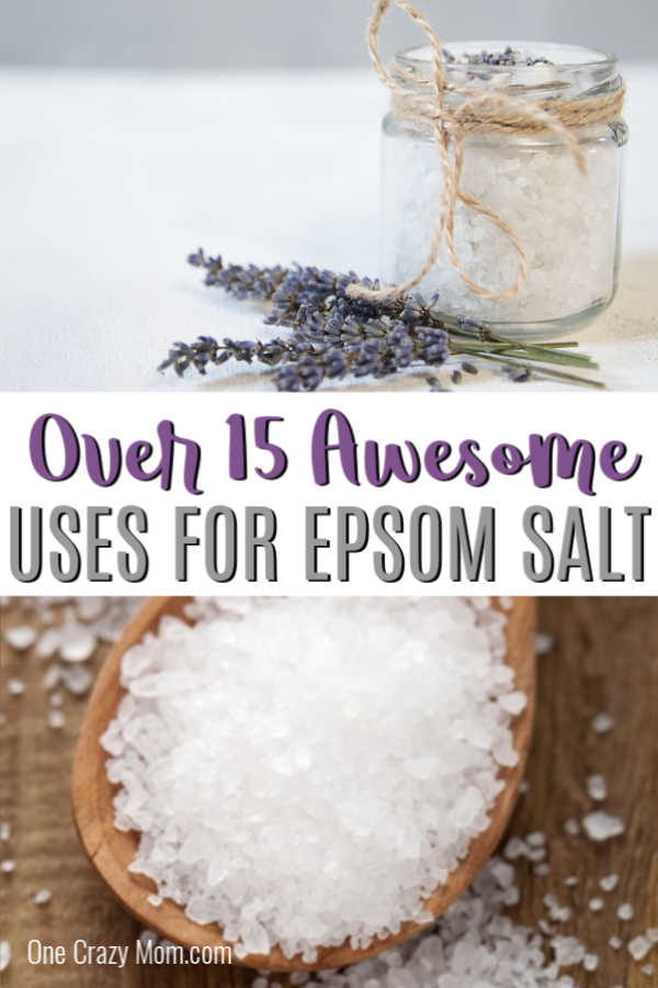 There are so many Epsom Salt Uses that include beauty, health and even home and garden. Learn over 15 epsom salt uses that will help you today. There are so many Epsom Salt Uses that include beauty, health and even home and garden. Learn over 15 epsom salt uses that will help you today.