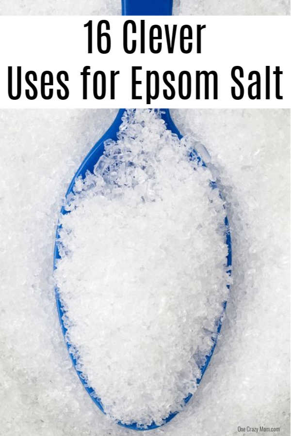 There are so many Epsom Salt Uses that include beauty, health and even home and garden. Learn over 15 epsom salt uses that will help you today. There are so many Epsom Salt Uses that include beauty, health and even home and garden. Learn over 15 epsom salt uses that will help you today.