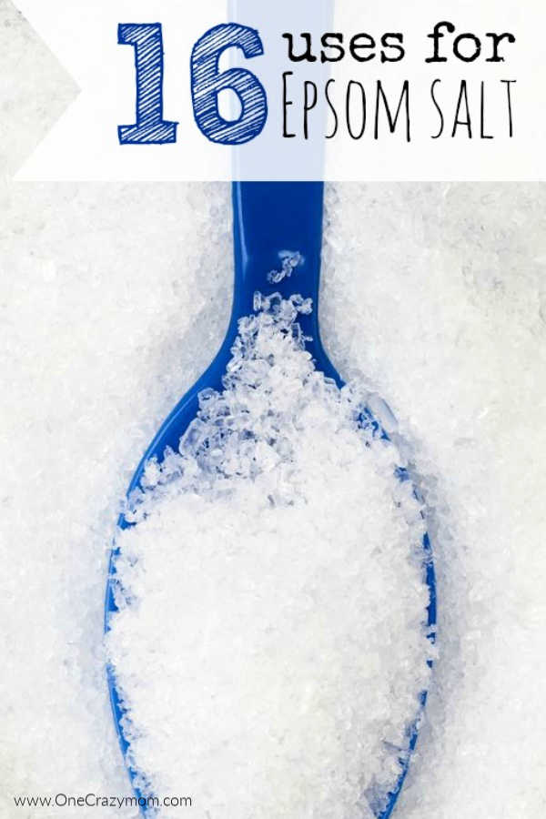 There are so many Epsom Salt Uses that include beauty, health and even home and garden. Learn over 15 epsom salt uses that will help you today. There are so many Epsom Salt Uses that include beauty, health and even home and garden. Learn over 15 epsom salt uses that will help you today.