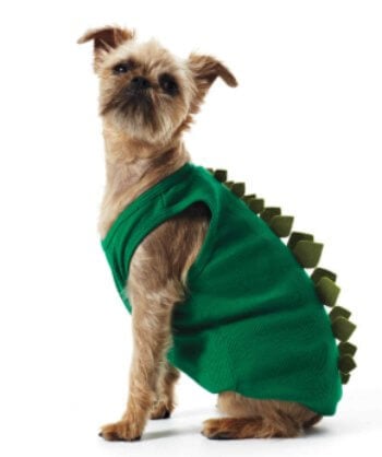 Check out these homemade dog costumes that are so cute! 15 DIY dog costumes that are quick and easy. Your dog will be the hit of the Halloween party!