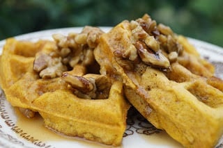 Do you love to try pumpkin recipes? Here are 100 quick and easy pumpkin recipes. From pumpkin bread to pumpkin pancakes, these recipes will not disappoint. Do you love to try pumpkin recipes? Here are 100 quick and easy pumpkin recipes. From pumpkin bread to pumpkin pancakes, these recipes will not disappoint.