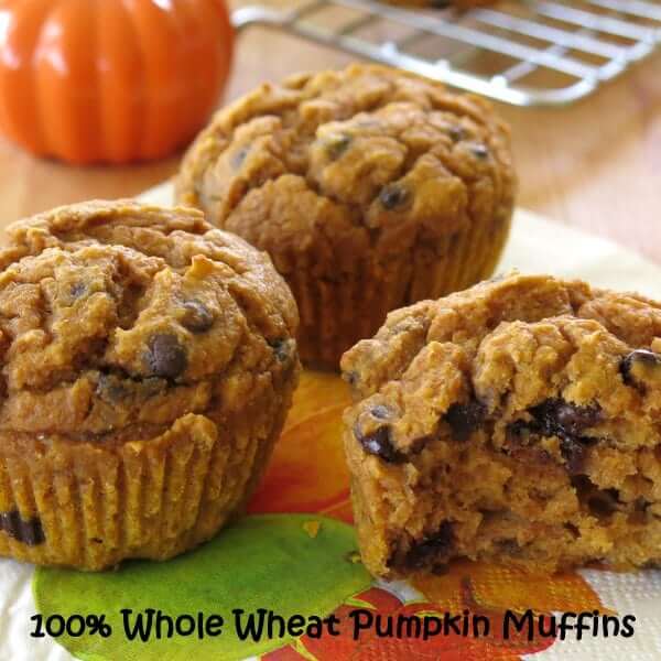 Do you love to try pumpkin recipes? Here are 100 quick and easy pumpkin recipes. From pumpkin bread to pumpkin pancakes, these recipes will not disappoint. Do you love to try pumpkin recipes? Here are 100 quick and easy pumpkin recipes. From pumpkin bread to pumpkin pancakes, these recipes will not disappoint.