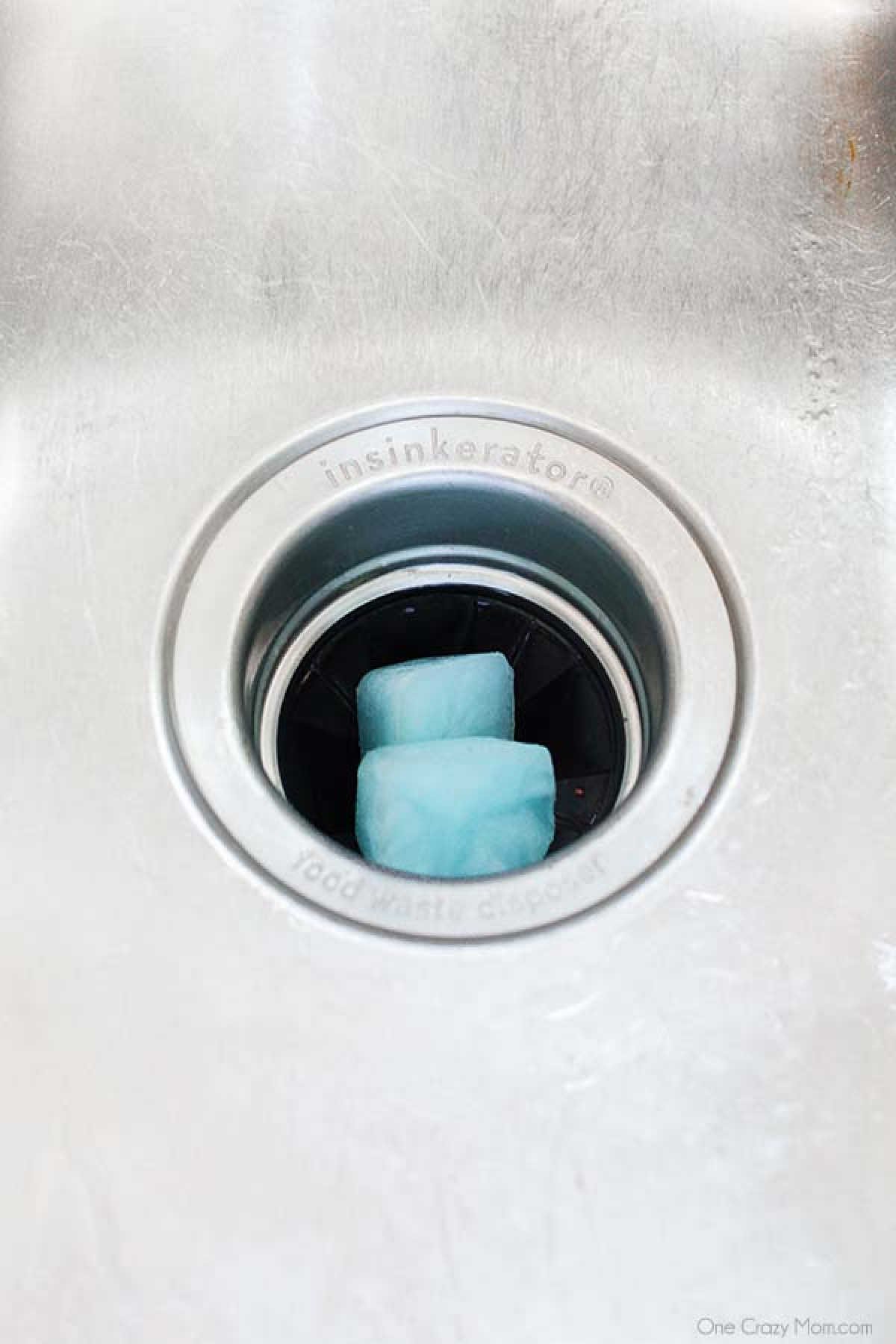 Garbage Disposal cleaner in the sink