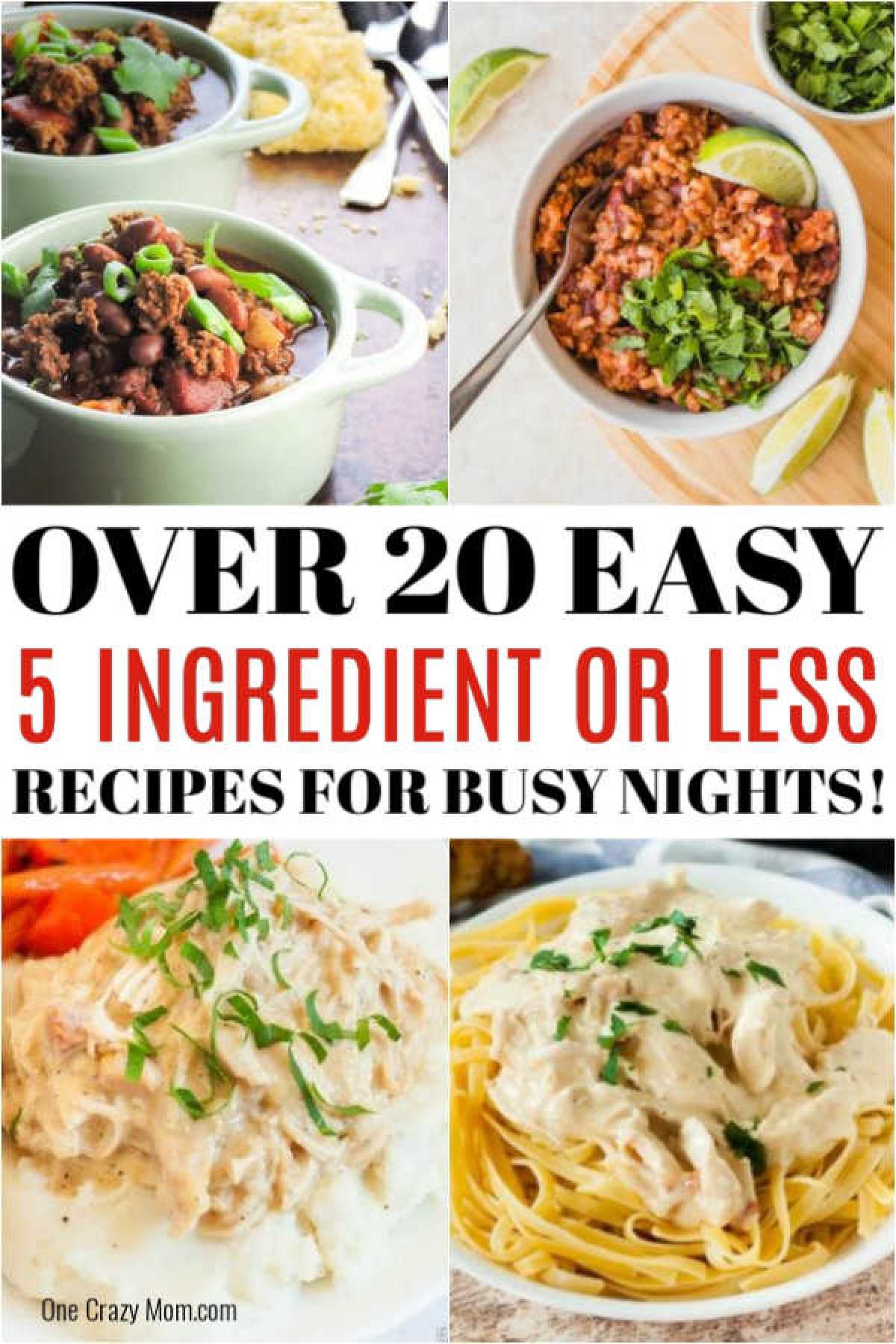 Make delicious meals with 5 Ingredient Recipes! Explore easy, budget-friendly recipes for breakfast, lunch, dinner, and more. #onecrazymom #5ingredientdinners