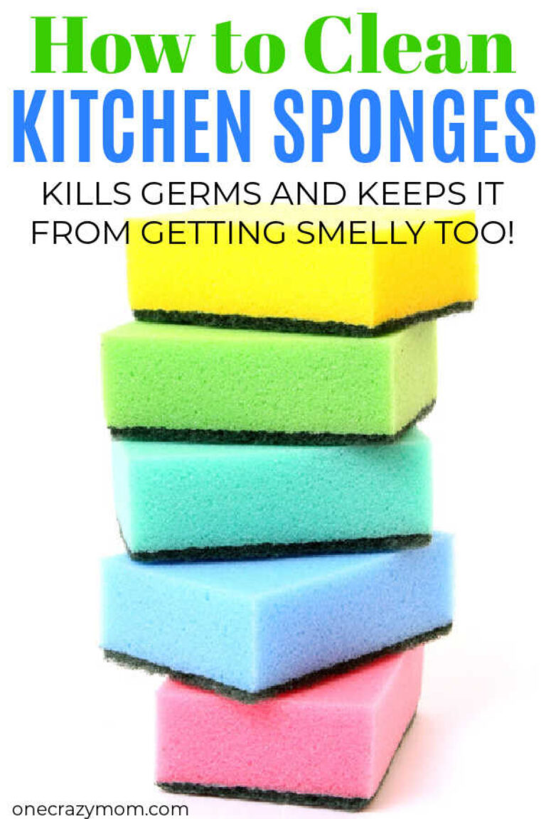 So Clean Sponge How to clean a sponge - How to clean a sponge easily in one step