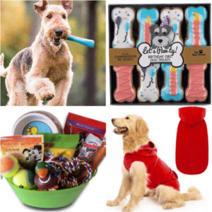 View of Dog Gift Ideas - 25 of the Best Dog Gifts they will love