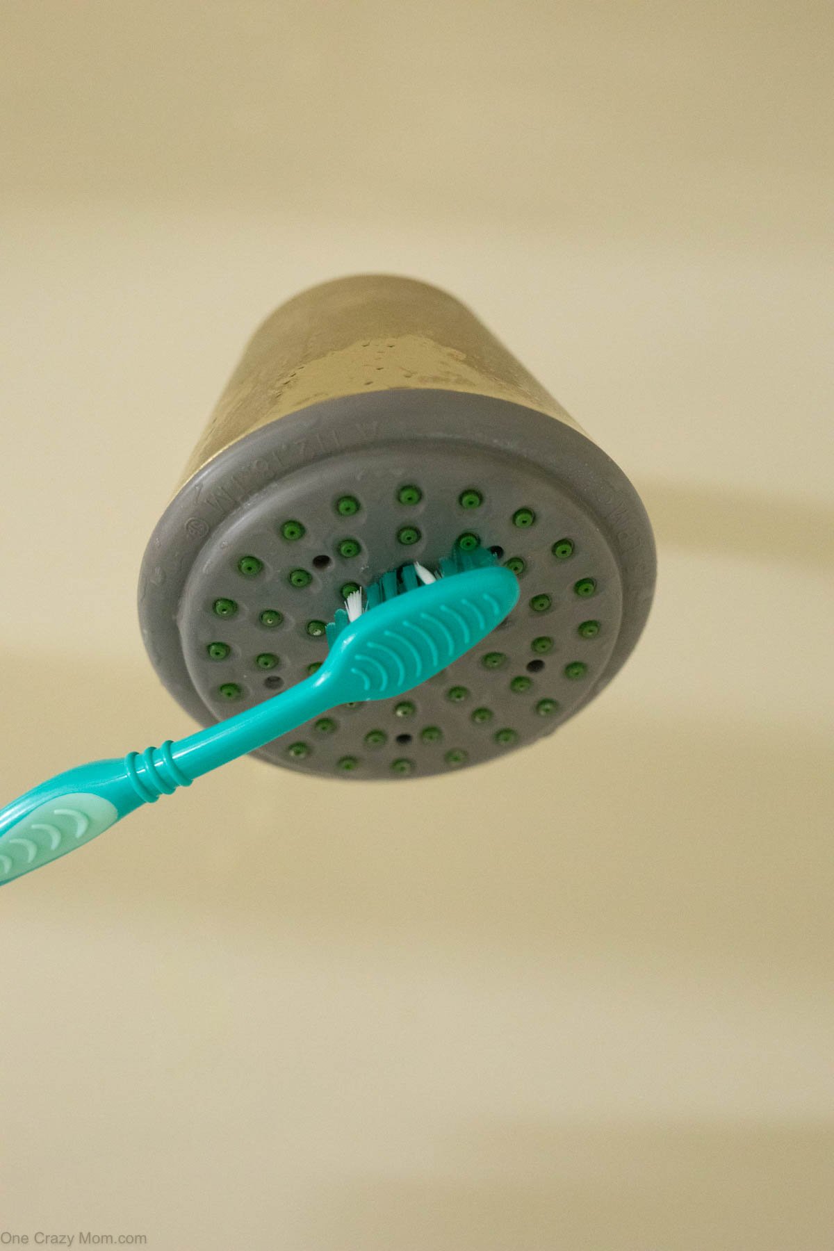 Toothbrush cleaning shower head. 