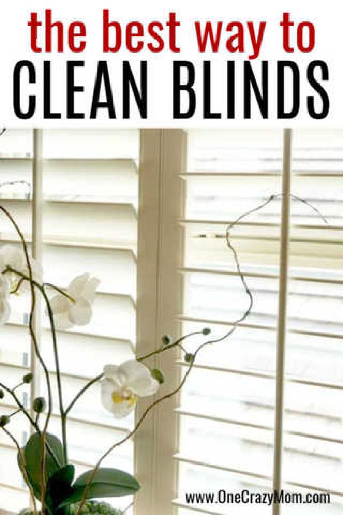Window with blinds open. 