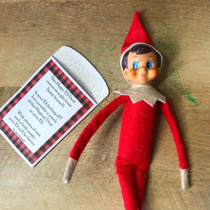 Elf On The Shelf Arrival Ideas - One Crazy Mom