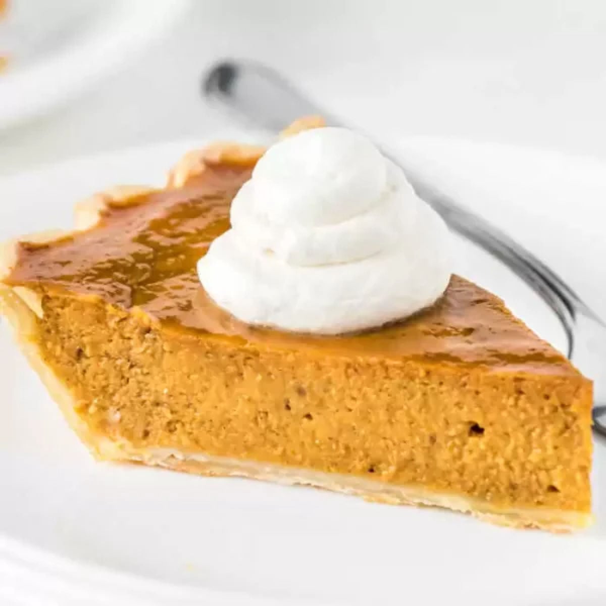 Slice of pumpkin pie.