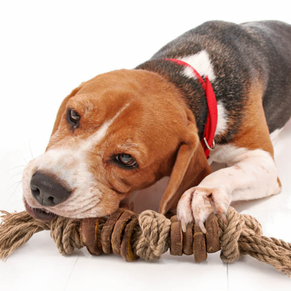 Photo inspiration: DIY Dog Toys Photo Inspiration