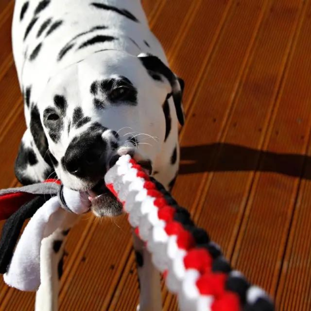 DIY Dog Toys 25 Homemade Toys for Dogs