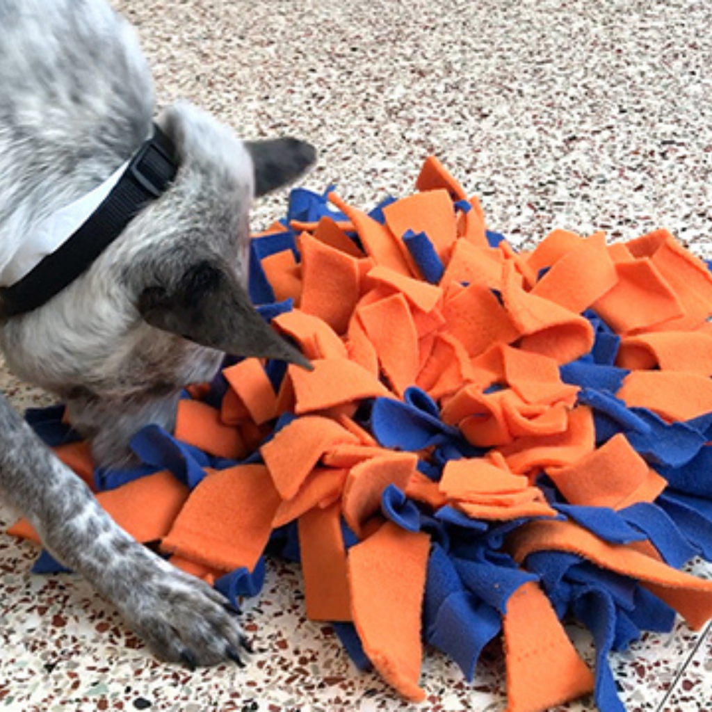 DIY Dog Toys 25 Homemade Toys for Dogs